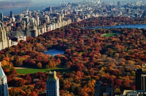 Central Park visto de cima.