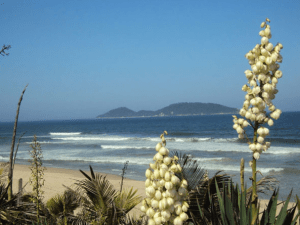 Praia Morro das Pedras